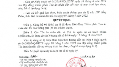CHÁNH ÁN TÒA ÁN NHÂN DÂN TỐI CAO CÔNG BỐ 04 ÁN LỆ MỚI SẼ ĐƯỢC ÁP DỤNG TRONG XÉT XỬ