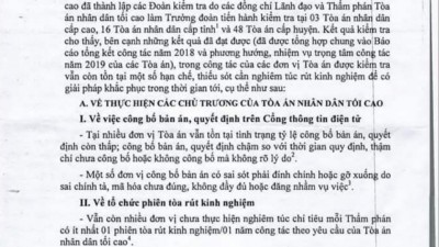 TỔNG HỢP NHỮNG HẠN CHẾ, THIẾU SÓT TRONG CÔNG TÁC CHUYÊN MÔN NGHIỆP VỤ NĂM 2018 CỦA NGÀNH TÒA ÁN