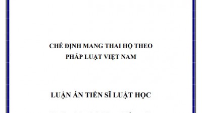 LUẬN ÁN TIẾN SĨ: CHẾ ĐỊNH MANG THAI HỘ THEO PHÁP LUẬT VIỆT NAM