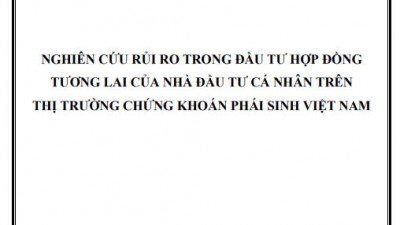LUẬN ÁN TIẾN SĨ: NGHIÊN CỨU RỦI RO TRONG ĐẦU TƯ HỢP ĐỒNG TƯƠNG LAI CỦA NHÀ ĐẦU TƯ CÁ NHÂN TRÊN THỊ TRƯỜNG CHỨNG KHOÁN PHÁI SINH VIỆT NAM