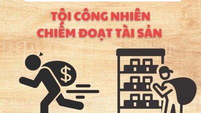 Định tội danh: Tội Công nhiên chiếm đoạt tài sản và Tội Trộm cắp tài sản