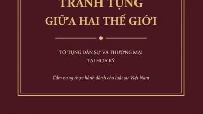 TRANH TỤNG GIỮA HAI THẾ GIỚI: TỐ TỤNG DÂN SỰ VÀ THƯƠNG MẠI TẠI HOA KỲ