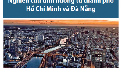 TÀI LIỆU CHÍNH QUYỀN ĐÔ THỊ TẠI VIỆT NAM: NGHIÊN CỨU TÌNH HUỐNG TỪ THÀNH PHỐ HỒ CHÍ MINH VÀ ĐÀ NẴNG