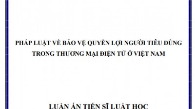 LUẬN ÁN TIẾN SĨ: PHÁP LUẬT VỀ BẢO VỆ QUYỀN LỢI NGƯỜI TIÊU DÙNG TRONG THƯƠNG MẠI ĐIỆN TỬ Ở VIỆT NAM