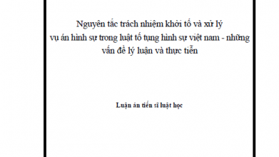 LUẬN ÁN TIẾN SĨ: NGUYÊN TẮC TRÁCH NHIỆM KHỞI TỐ VÀ XỬ LÝ VỤ ÁN HÌNH SỰ TRONG LUẬT TỐ TỤNG HÌNH SỰ VIỆT NAM - NHỮNG VẪN ĐỀ LÝ LUẬN VÀ THỰC TIỄN