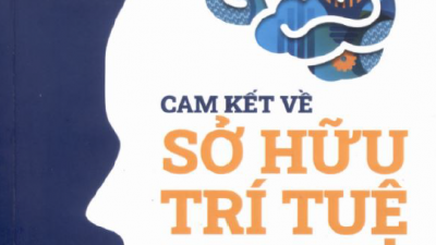 SÁCH CAM KẾT VỀ SỞ HỮU TRÍ TUỆ TRONG CÁC HIỆP ĐỊNH THƯƠNG MẠI TỰ DO (SÁCH THAM KHẢO)