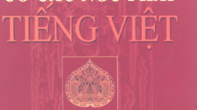 SÁCH CƠ CẤU NGỮ PHÁP TIẾNG VIỆT (TÁC GIẢ: V. S. PANFILOV)