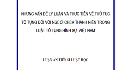 LUẬN ÁN TIẾN SĨ: NHỮNG VẤN ĐỀ LÝ LUẬN VÀ THỰC TIỄN VỀ THỦ TỤC TỐ TỤNG ĐỐI VỚI NGƯỜI CHƯA THÀNH NIÊN TRONG LUẬT TỐ TỤNG HÌNH SỰ VIỆT NAM