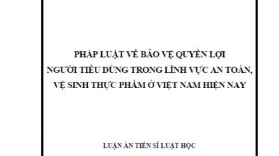 LUẬN ÁN TIẾN SĨ: PHÁP LUẬT VỀ BẢO VỆ QUYỀN LỢI NGƯỜI TIÊU DÙNG TRONG LĨNH VỰC AN TOÀN, VỆ SINH THỰC PHẨM Ở VIỆT NAM HIỆN NAY