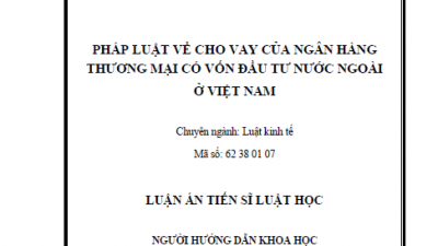LUẬN ÁN TIẾN SĨ: PHÁP LUẬT VỀ CHO VAY CỦA NGÂN HÀNG THƯƠNG MẠI CÓ VỐN ĐẦU TƯ NƯỚC NGOÀI Ở VIỆT NAM