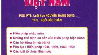 LUẬT HIẾN PHÁP VIỆT NAM