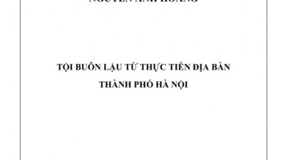 LUẬN VĂN THẠC SĨ: TỘI BUÔN LẬU TỪ THỰC TIỄN ĐỊA BÀN THÀNH PHỐ HÀ NỘI 