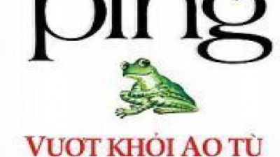 SÁCH PING - VƯỢT KHỎI AO TÙ (TÁC GIẢ: STUART AVERY GOLD)