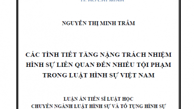 LUẬN ÁN TIẾN SĨ: CÁC TÌNH TIẾT TĂNG NẶNG TRÁCH NHIỆM HÌNH SỰ LIÊN QUAN ĐẾN NHIỀU TỘI PHẠM TRONG LUẬT HÌNH SỰ VIỆT NAM