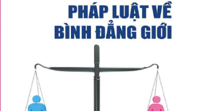 SÁCH HỎI ĐÁP PHÁP LUẬT VỀ BÌNH ĐẲNG GIỚI (TÁC GIẢ: PHẠM THỊ LAN ANH)