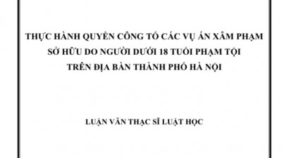 LUẬN VĂN THẠC SĨ: THỰC HÀNH QUYỀN CÔNG TỐ CÁC VỤ ÁN XÂM PHẠM SỞ HỮU DO NGƯỜI DƯỚI 18 TUỔI PHẠM TỘI TRÊN ĐỊA BÀN THÀNH PHỐ HÀ NỘI