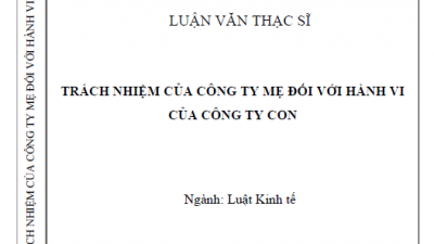 LUẬN VĂN THẠC SĨ: TRÁCH NHIỆM CỦA CÔNG TY MẸ ĐỐI VỚI HÀNH VI CỦA CÔNG TY CON