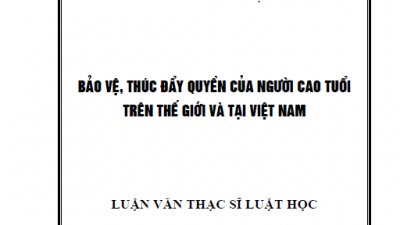 LUẬN VĂN THẠC SĨ: BẢO VỆ, THÚC ĐẨY QUYỀN CỦA NGƯỜI CAO TUỔI TRÊN THẾ GIỚI VÀ TẠI VIỆT NAM