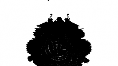 SÁCH CHẾ ĐỘ TƯ PHÁP (VIỆT NAM CỘNG HÒA NĂM 1967)