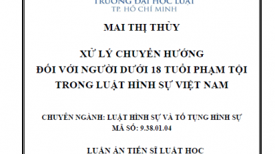 LUẬN ÁN TIẾN SĨ: XỬ LÝ CHUYỂN HƯỚNG ĐỐI VỚI NGƯỜI DƯỚI 18 TUỔI PHẠM TỘI TRONG LUẬT HÌNH SỰ VIỆT NAM