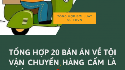 Tổng hợp 20 bản án về tội vận chuyển hàng cấm là pháo hoa
