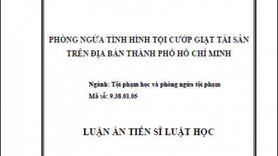 LUẬN ÁN TIẾN SĨ: PHÒNG NGỪA TÌNH HÌNH TỘI CƯỚP GIẬT TÀI SẢN TRÊN ĐỊA BÀN THÀNH PHỐ HỒ CHÍ MINH (TÁC GIẢ: NGUYỄN VĂN KHOA ĐIỀM)