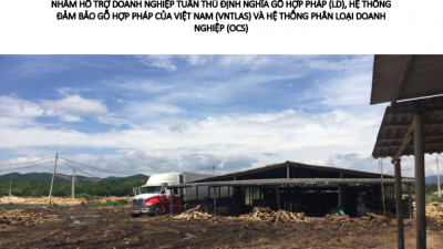 BÁO CÁO ĐÁNH GIÁ - NHU CẦU NÂNG CAO NĂNG LỰC CỦA CÁC BÊN LIÊN QUAN CẤP TỈNH NHẰM HỖ TRỢ DOANH NGHIỆP TUÂN THỦ ĐỊNH NGHĨA GỖ HỢP PHÁP (LD), HỆ THỐNG ĐẢM BẢO GỖ HỢP PHÁP CỦA VIỆT NAM (VNTLAS) VÀ HỆ THỐNG PHÂN LOẠI DOANH NGHIỆP 