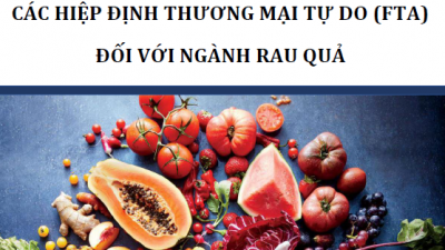CẨM NANG DOANH NGHIỆP – TỔNG HỢP CAM KẾT TRONG CÁC HIỆP ĐỊNH THƯƠNG MẠI TỰ DO (FTA) ĐỐI VỚI NGÀNH RAU QUẢ