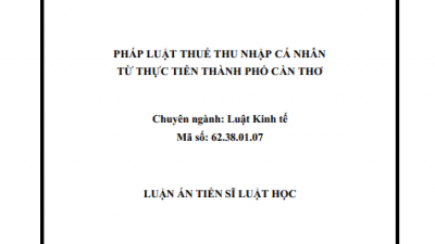 LUẬN ÁN TIẾN SĨ: PHÁP LUẬT THUẾ THU NHẬP CÁ NHÂN TỪ THỰC TIỄN THÀNH PHỐ CẦN THƠ
