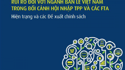NGHIÊN CỨU CHÍNH SÁCH RỦI RO ĐỐI VỚI NGÀNH BÁN LẺ VIỆT NAM TRONG BỐI CẢNH HỘI NHẬP TPP VÀ CÁC FTA - HIỆN TRẠNG VÀ CÁC ĐỀ XUẤT CHÍNH SÁCH