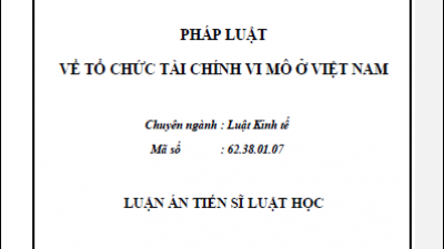 LUẬN ÁN TIẾN SĨ: PHÁP LUẬT VỀ TỔ CHỨC TÀI CHÍNH VI MÔ Ở VIỆT NAM (TÁC GIẢ: NGUYỄN THÁI HÀ)