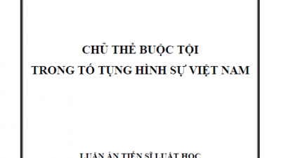 LUẬN ÁN TIẾN SĨ: CHỦ THỂ BUỘC TỘI TRONG TỐ TỤNG HÌNH SỰ VIỆT NAM