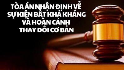TỔNG HỢP 20 BẢN ÁN TOÀ ÁN NHẬN ĐỊNH VỀ SỰ KIỆN BẤT KHẢ KHÁNG VÀ HOÀN CẢNH THAY ĐỔI CƠ BẢN