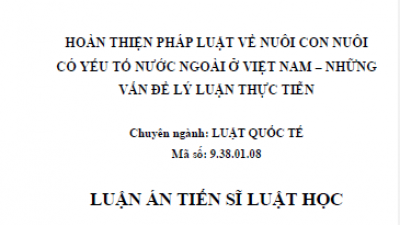 LUẬN ÁN TIẾN SĨ: HOÀN THIỆN PHÁP LUẬT VỀ NUÔI CON NUÔI CÓ YẾU TỐ NƯỚC NGOÀI TẠI VIỆT NAM - NHỮNG VẤN ĐỀ LÝ LUẬN VÀ THỰC TIỄN