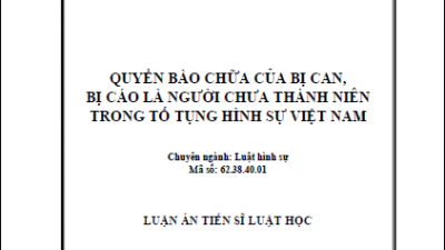 LUẬN ÁN TIẾN SĨ: QUYỀN BÀO CHỮA CỦA BỊ CAN, BỊ CÁO LÀ NGƯỜI CHƯA THÀNH NIÊN TRONG TỐ TỤNG HÌNH SỰ VIỆT NAM (TÁC GIẢ: NGUYỄN HỮU THẾ TRẠCH)