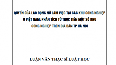 LUẬN VĂN THẠC SĨ LUẬT HỌC: QUYỀN CỦA LAO ĐỘNG NỮ LÀM VIỆC TẠI CÁC KHU CÔNG NGHIỆP Ở VIỆT NAM: PHÂN TÍCH TỪ THỰC TIỄN MỘT SỐ KHU CÔNG NGHIỆP TRÊN ĐỊA BÀN THÀNH PHỐ HÀ NỘI (TÁC GIẢ: PHẠM THỊ THẢO)
