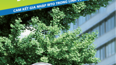 CAM KẾT WTO VỀ DOANH NGHIỆP THƯƠNG MẠI NHÀ NƯỚC DOANH NGHIỆP NHÀ NƯỚC