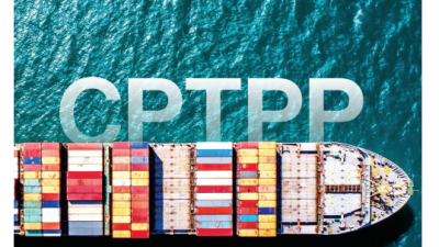 DOANH NGHIỆP VÀ TỰ DO HÓA THƯƠNG MẠI: BẮT ĐẦU CUỘC HÀNH TRÌNH