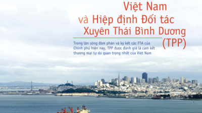 DOANH NGHIỆP VÀ CHÍNH SÁCH THƯƠNG MẠI QUỐC TẾ: VIỆT NAM VÀ HIỆP ĐỊNH ĐỐI TÁC XUYÊN THÁI BÌNH DƯƠNG (TPP)