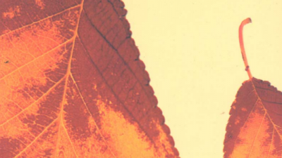 SÁCH MỘT MÌNH VỚI MÙA THU (TÁC GIẢ: K PAUXTOPXKI)