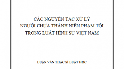 LUẬN VĂN THẠC SĨ: CÁC NGUYÊN TẮC XỬ LÝ NGƯỜI CHƯA THÀNH NIÊN PHẠM TỘI TRONG LUẬT HÌNH SỰ VIỆT NAM