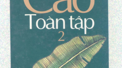 SÁCH NAM CAO TOÀN TẬP (TẬP 2) - TÁC GIẢ: NAM CAO