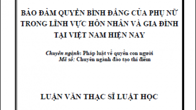 LUẬN VĂN THẠC SĨ: BẢO ĐẢM QUYỀN BÌNH ĐẲNG CỦA PHỤ NỮ TRONG LĨNH VỰC HÔN NHÂN VÀ GIA ĐÌNH TẠI VIỆT NAM HIỆN NAY (TÁC GIẢ: LÊ THU THẢO)