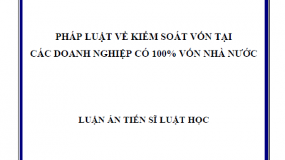 LUẬN ÁN TIẾN SĨ: PHÁP LUẬT VỀ KIỂM SOÁT VỐN TẠI CÁC DOANH NGHIỆP CÓ 100% VỐN NHÀ NƯỚC