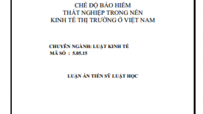LUẬN ÁN TIẾN SĨ: CHẾ ĐỘ BẢO HIỂM THẤT NGHIỆP TRONG NỀN KINH TẾ THỊ TRƯỜNG Ở VIỆT NAM