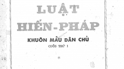 SÁCH LUẬT HIẾN PHÁP - KHUÔN MẪU DÂN CHỦ (TÁC GIẢ: LÊ ĐÌNH CHÂN)