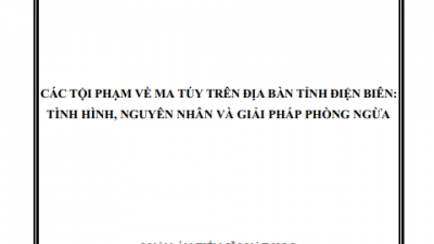 LUẬN ÁN TIẾN SĨ: CÁC TỘI PHẠM VỀ MA TÚY TRÊN ĐỊA BÀN TỈNH ĐIỆN BIÊN: TÌNH HÌNH, NGUYÊN NHÂN VÀ GIẢI PHÁP PHÒNG NGỪA