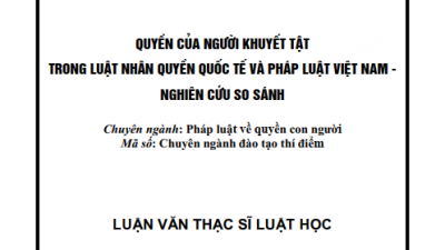LUẬN VĂN THẠC SĨ LUẬT HỌC: QUYỀN CỦA NGƯỜI KHUYẾT TẬT TRONG LUẬT NHÂN QUYỀN QUỐC TẾ VÀ PHÁP LUẬT VIỆT NAM - NGHIÊN CỨU SO SÁNH (TÁC GIẢ: NGUYỄN THỊ BẢY)