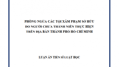 LUẬN ÁN TIẾN SĨ: PHÒNG NGỪA CÁC TỘI XÂM PHẠM SỞ HỮU DO NGƯỜI CHƯA THÀNH NIÊN THỰC HIỆN TRÊN ĐỊA BÀN THÀNH PHỐ HỒ CHÍ MINH