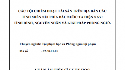 LUẬN ÁN TIẾN SĨ: CÁC TỘI CHIẾM ĐOẠT TÀI SẢN TRÊN ĐỊA BÀN CÁC TỈNH MIỀN NÚI PHÍA BẮC NƯỚC TA HIỆN NAY: TÌNH HÌNH, NGUYÊN NHÂN VÀ GIẢI PHÁP PHÒNG NGỪA